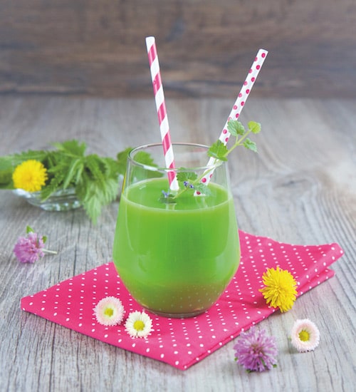 Saft Rezept Kräuter Detox